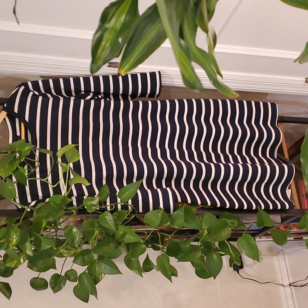 Banana Republic striped dress